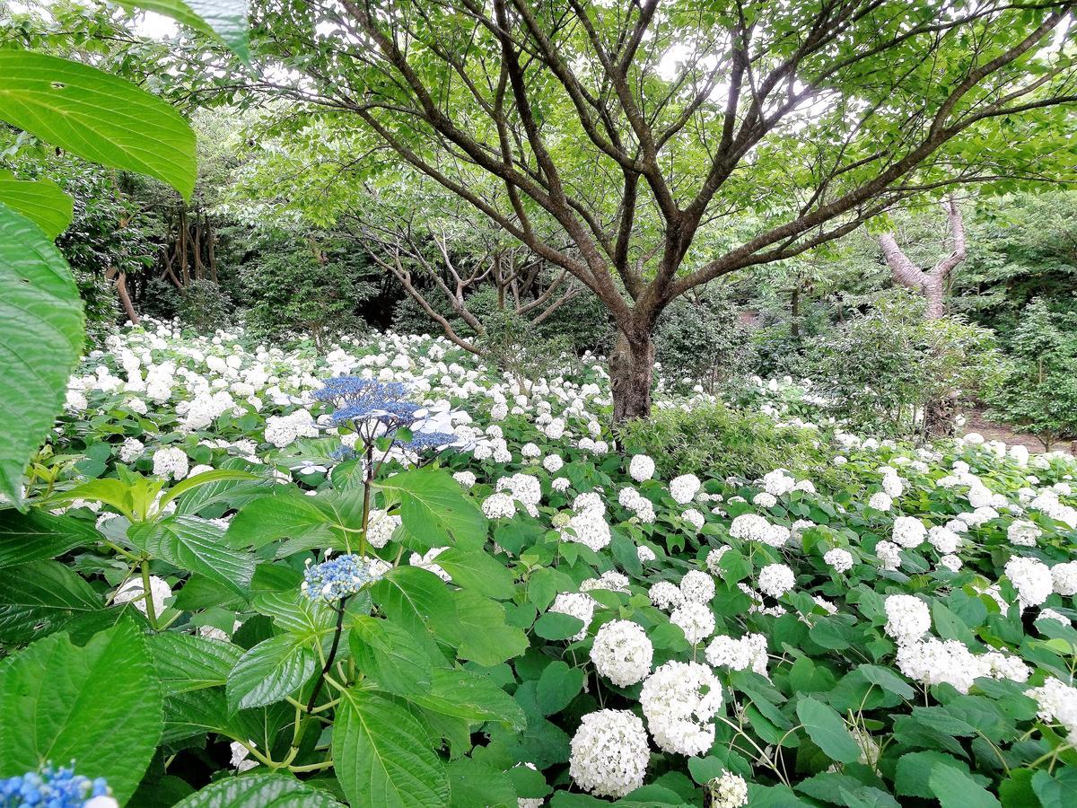 Villa ホライゾン Oshima Exterior foto